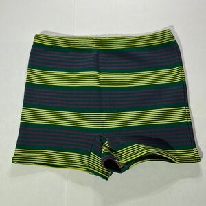 Vintage SEARS mens swim trunks shorts sz 28-38 green stripes yellow purple